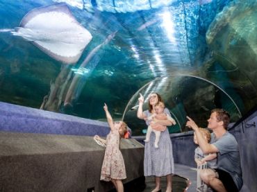 National Aquarium of New Zealand